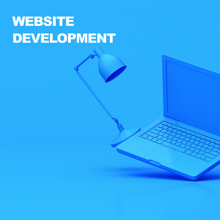 Website development 